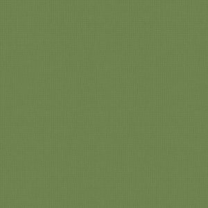 Day and Night Blinds - Arona Verde