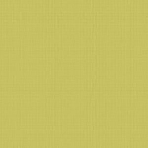 Day and Night Blinds - Arona Zest