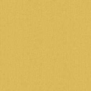 Vertical Blinds - Arona Ray