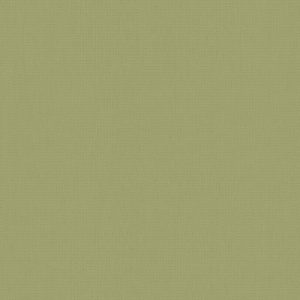 Day and Night Blinds - Unicolour Glade